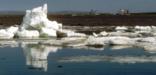 Chunks of melting sea ice along a shoreline and subsistence camps on the beach in the background.